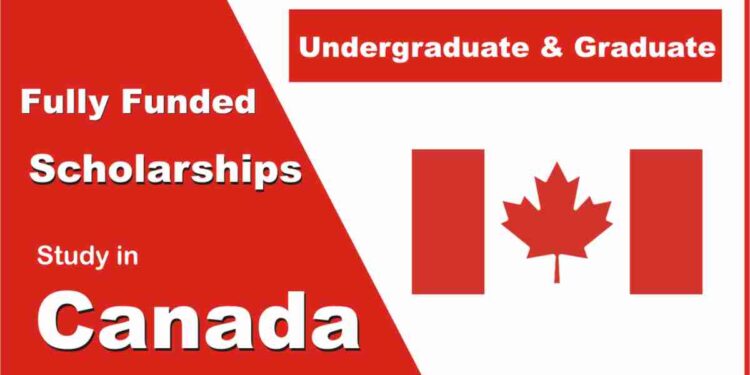 Scholarship Process in Toronto, Canada