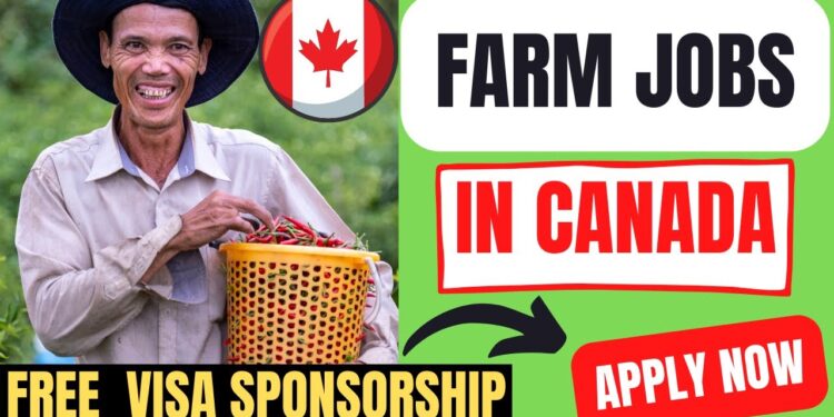 Multiple Recruitment for Farm Workers in Canada With Free Visa Sponsorship
