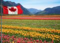 Agriculture And Agribusiness: Opportunities In Canada’s Food Industry
