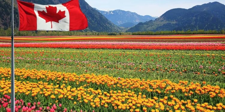 Agriculture And Agribusiness: Opportunities In Canada’s Food Industry