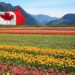 Agriculture And Agribusiness: Opportunities In Canada’s Food Industry