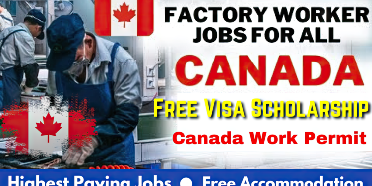 Visa Sponsorship Jobs In Canada for 2025